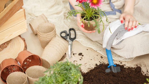 Complete Home Gardening Guide for Beginners