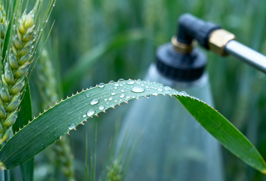 Best Insecticides for Major Crops: A Practical Guide for Farmers