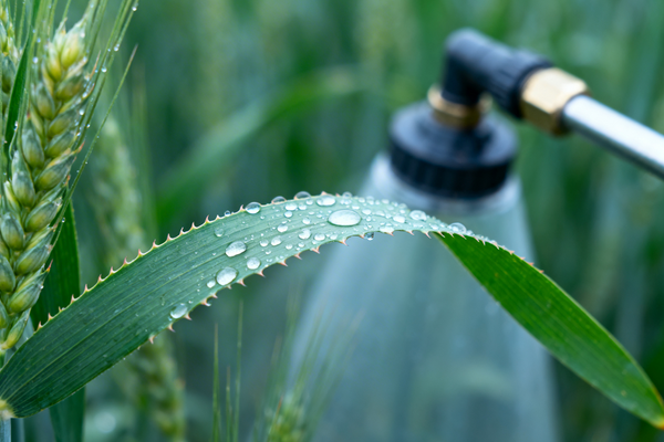 Best Insecticides for Major Crops: A Practical Guide for Farmers