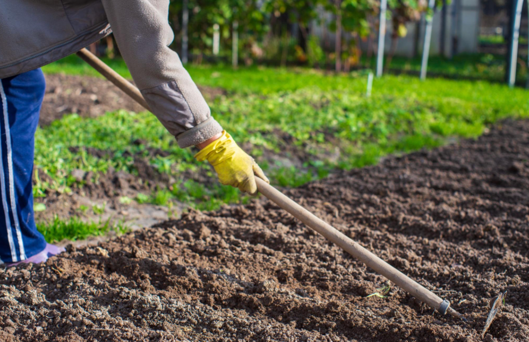 Fertilizer Calendar: What to Apply in Each Season