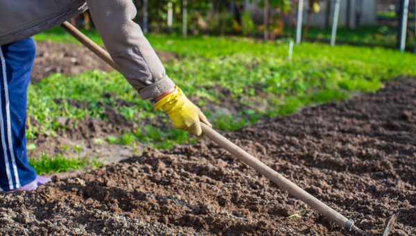 Fertilizer Calendar: What to Apply in Each Season