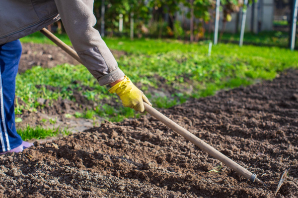 Fertilizer Calendar: What to Apply in Each Season