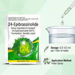 Soluble liquid growth booster with 24-Epibrassinolide supporting healthy vegetable crop development.