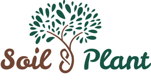 Soil & Plant