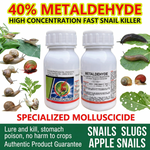 Using Metaldehyde 40% Molluscicide to protect vegetable gardens