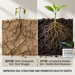 Soil Fertilizer for adjusting saline-alkali conditions, promoting soil balance, and improving root growth without deep tillage.