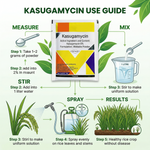 Kasugamycin 6% WP fungicide used in agriculture for controlling fungal diseases in rice crops.