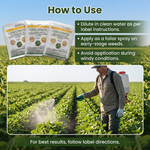 Fluoroglycofen-Ethyl 10% EC for broad-spectrum weed control in agricultural fields and crop protection.