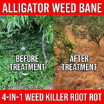 Herbicide combination targeting alligator weed with root rot action for complete weed removal.