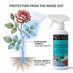 Effective antibacterial solution designed to treat and prevent common flower diseases, ensuring healthy, vibrant blooms.