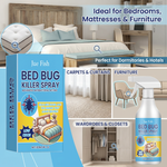 Applying insecticide spray on furniture and cracks to control bedbugs and acarids in a dormitory bedroom.
