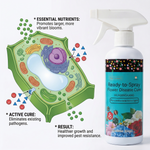 Promotes stronger, healthier flowers by boosting plant vitality and improving resistance to pests and pathogens.
