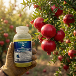 Boron improves flowering, pollination, and fruit set, reducing flower drop and enhancing yield quality.