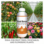 Increases pollen viability and promotes seed formation, ensuring successful fruit setting.
