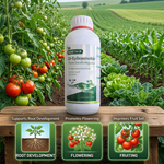 Brassinolide-based plant growth regulator supporting healthy growth in vegetables and fruit crops.