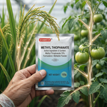 Ideal for vegetables, fruits, grains, and ornamental plants, Thiophanate-Methyl offers comprehensive disease control across multiple crops.