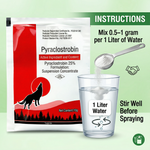 Pyraclostrobin fungicide providing broad-spectrum control of fungal diseases in crops.