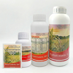 Chlorantraniliprole 200 g/L provides effective pest control for a wide range of insects, supporting crop health in fruits, vegetables, and field crops.