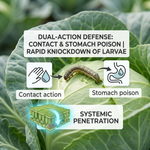 Dual-action insecticide designed to manage common crop pests in vegetables, fruits, and field crops.