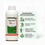 controlling aphid populations on rice crops to prevent crop damage.