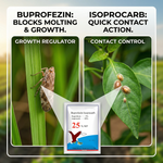 Combination insecticide offering dual action for controlling rice planthoppers and scale insects with growth regulation and contact action