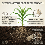 Protects plant roots from damage caused by underground pests like armyworms and termites, promoting healthier plant growth