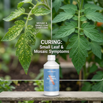 High-efficiency chelated zinc fertilizer that improves leaf growth and corrects zinc deficiency in plants
