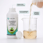 Natural and organic Chrysothricin Bio Fungicide specifically formulated to control bacterial leaf blight in rice crops.