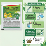 Effective herbicide for controlling grass weeds in soybean and rapeseed cultivation.