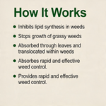 Herbicide formulated with Clodinafop-Propargyl for effective selective control of grass weeds in wheat crops.
