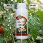 Works as both a contact and systemic insecticide, offering immediate pest elimination and long-term protection for your plants.