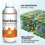 Effectively corrects boron deficiency, supporting plant vitality and improving overall growth