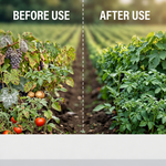 Systemic fungicide ensuring healthy crop growth by controlling fungal diseases effectively.