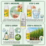 Liquid formulation designed to improve plant growth stages, flowering, and crop productivity.