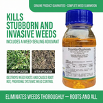 Effective Dicamba and Glyphosate herbicide solution for comprehensive weed control in agricultural crops.