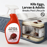 Bed bug insecticide spray used in a dormitory room for complete pest control and hygiene.