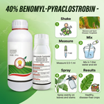 Combination fungicide with Difenoconazole and Pyraclostrobin providing effective control of fungal diseases.