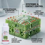 Bifenthrin & Thiamethoxam 22% SE improves overall crop health by preventing pest damage, boosting yield and quality.