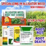 Fluroxypyr and 2,4-D weed control kit designed to eliminate alligator weed from roots.