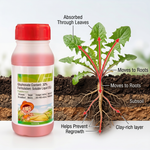 Glyphosate Isopropylamine Salt 30% liquid concentrate designed for dilution and foliar spray application.