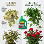 A simple-to-apply nutrient solution that ensures your potted plants get the right nutrients for optimal growth.