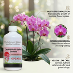 An easy-to-apply liquid formula that provides essential nutrients for orchid plants, ensuring healthy growth and vibrant blooms.
