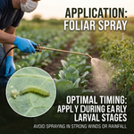 Water dispersible granules dissolve quickly, allowing smooth preparation of spray solution for pest control.