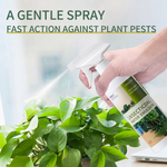 eco safe insecticide spray for indoor flowering plants against aphids whiteflies and soft bodied pests