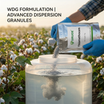 Broad-spectrum systemic insecticide effective against a variety of sucking pests, ensuring comprehensive protection for crops.
