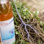Ammonium Glyphosate 15% efficiently targets small grasses and common weeds in various areas.