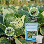 Lambda-Cyhalothrin provides powerful pest control for crops like cabbage, tomato, chili, brinjal, and fruit crops, enhancing yield.