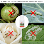 Spinosad 10% SC provides fast-acting and long-lasting pest control through contact and ingestion