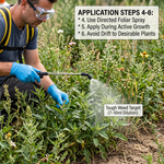 Designed for post-emergence application, controlling actively growing grasses and broadleaf weeds.