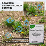 Ideal for maintaining weed-free roadsides, pathways, and boundary areas.